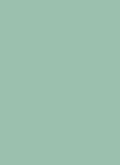 Le Corbusier poLyChro - 2,5l - 32041 vert anglais clair