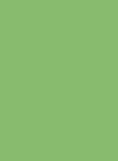 Les Couleurs Le Corbusier poLyChro Farbe - 32051 vert 31 - 5l