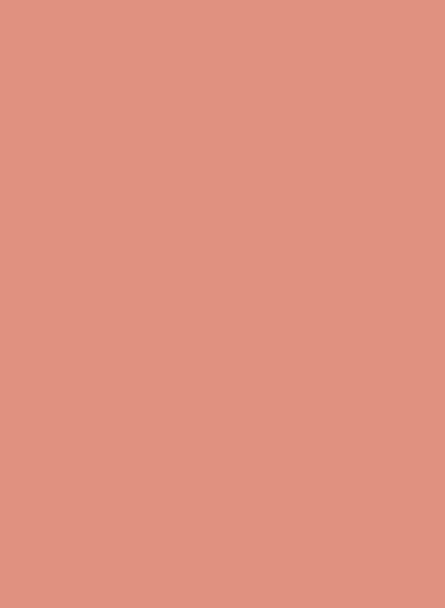 Les Couleurs Le Corbusier poLyChro Farbe 32111 l´ocre rouge moyen 5l