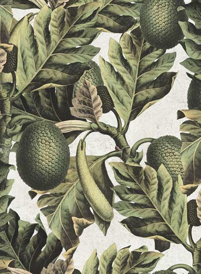 MINDTHEGAP Wallpaper Exotic Fruit I WP20097