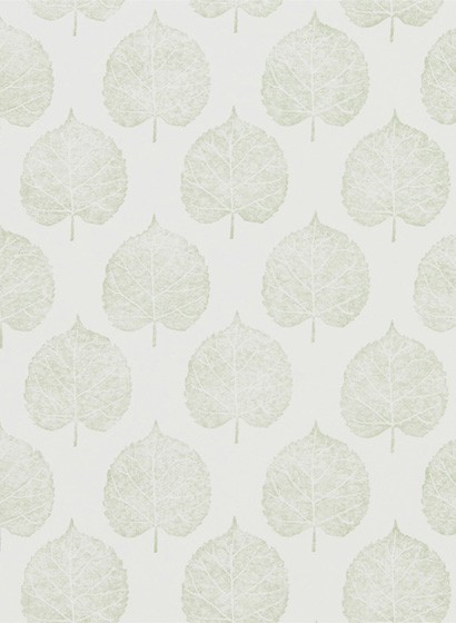 Sanderson Wallpaper Lyme Leaf Celadon