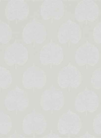 Blättertapete Lyme Leaf von Sanderson - Dove