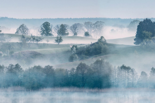 Rebel Walls Papier peint panoramique Morning Haze
