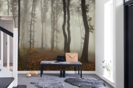 Rebel Walls Papier peint panoramique Timberland