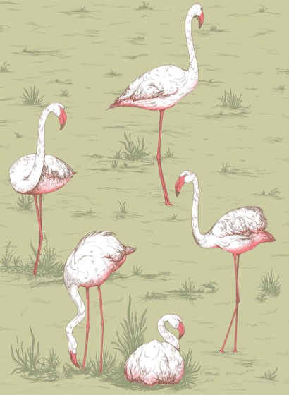 Cole & Son Papier peint Flamingos Icons - Olive