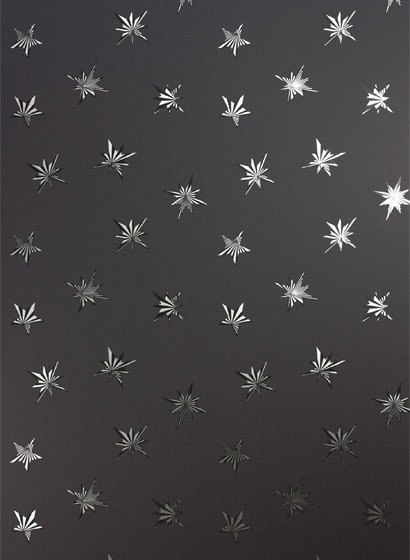 Sterne Tapete Sirius von Matthew Williamson - Charcoal