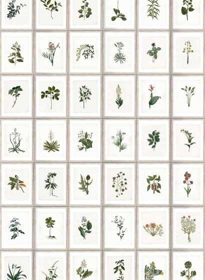 MINDTHEGAP Wallpaper Botany WP20153