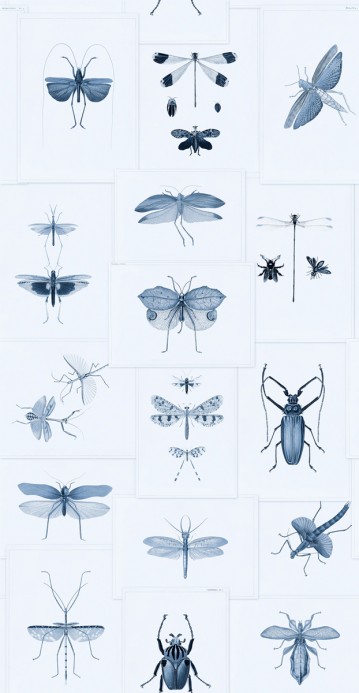 MINDTHEGAP Wallpaper Entomology WP20235
