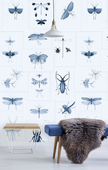 MINDTHEGAP Wallpaper Entomology