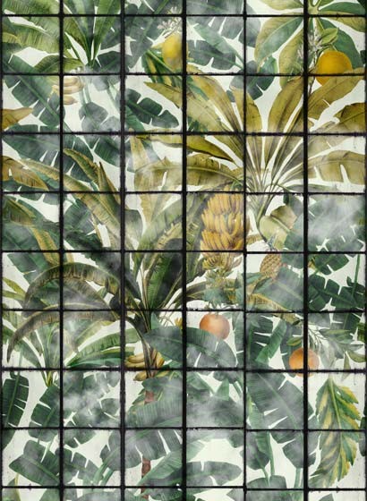 Tropische Tapete Orangerie von MIND THE GAP - WP20176