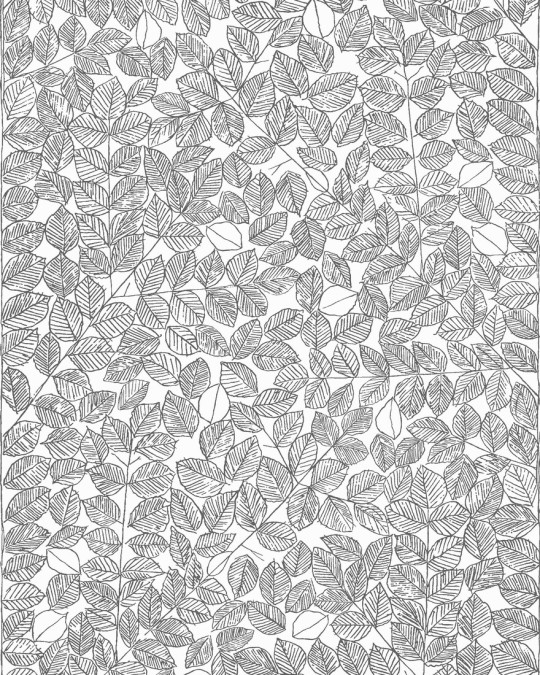 Viola Grasten Tapete Romans von Boras - 1766