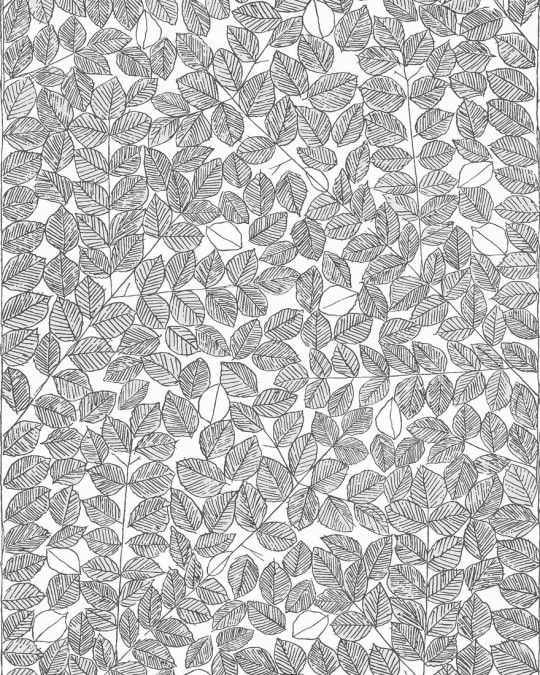 Viola Grasten Tapete Romans von Boras - 1769