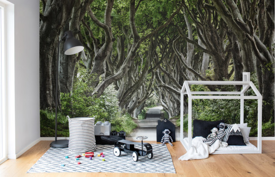 Rebel Walls Papier peint panoramique Magical Alley