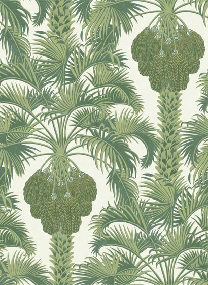Cole & Son Wallpaper Hollywood Palm Leaf Green