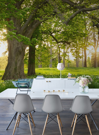 Rebel Walls Papier peint panoramique Verdant