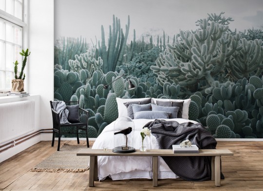 Rebel Walls Mural Cacti