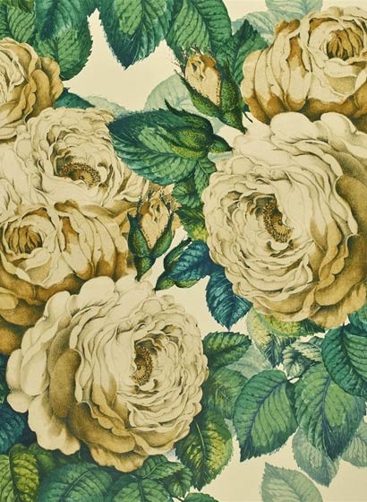John Derian Papier peint The Rose - Sepia
