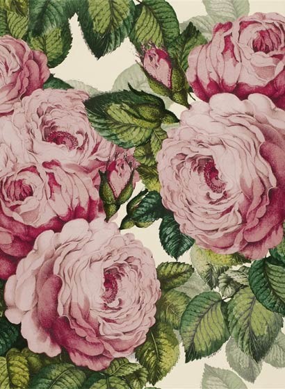 John Derian Papier peint The Rose - Tuberrose