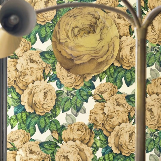 John Derian Wallpaper The Rose Sepia