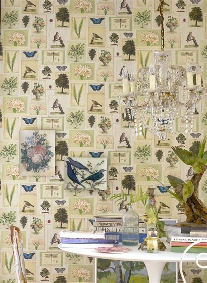 Tapete Flora and Fauna von John Derian for Designers Guild