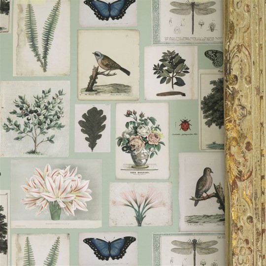 John Derian Papier peint Flora and Fauna - Parchment
