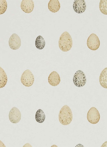 Vogelei Tapete Nest Egg von Sanderson - Corn/ Graphite