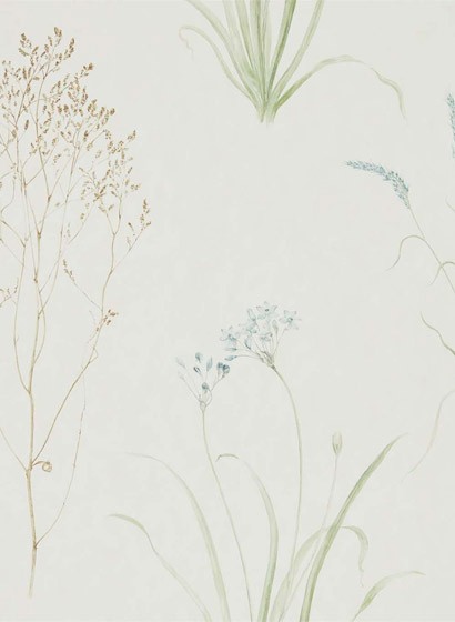 Florale Tapete Farne Grasses von Sanderson - Cream/ Sage