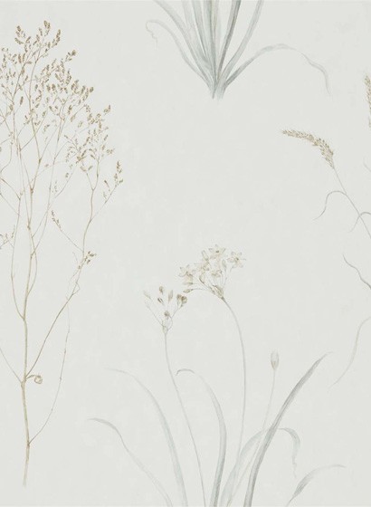Sanderson Papier peint Farne Grasses - Silver/ Ivory