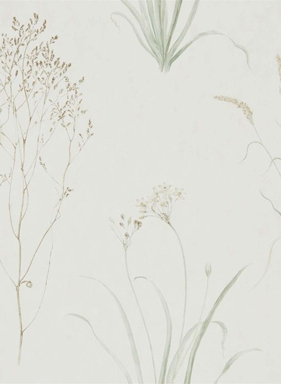 Florale Tapete Farne Grasses von Sanderson - Willow/ Pebble