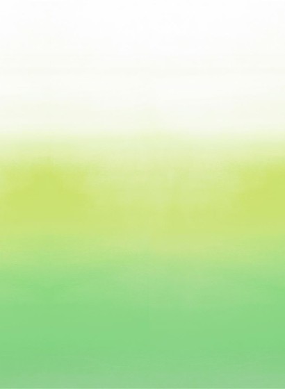 Designers Guild Papier peint panoramique Savoie - Lemongrass