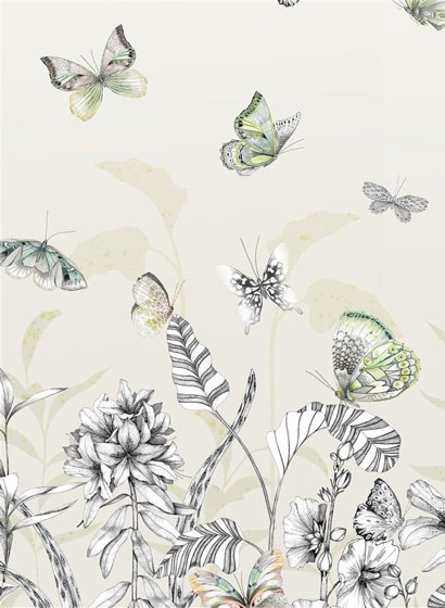 Designers Guild Carta da parati panoramica Papillons - Birch