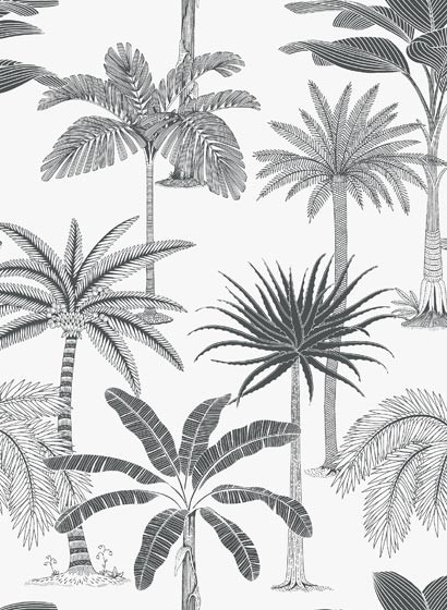 Palmen Tapete Royal von Hookedonwalls - 36500