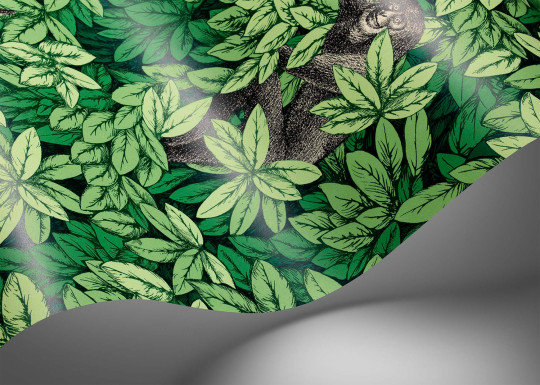 Cole & Son Papier peint Foglie e Scimmie - Forest Green