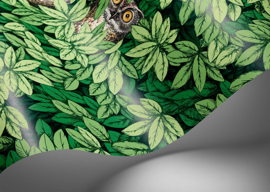 Cole & Son Tapete Foglie e Civette - Forest Green