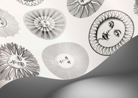 Cole & Son Wallpaper Soli