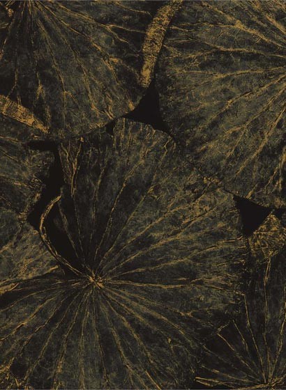 Zoffany Papier peint Taisho D - Vine Black