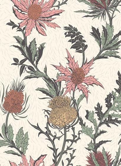 Distel Tapete Thistle von Cole and Son - Pink and White
