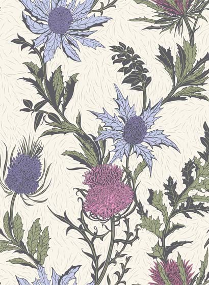 Distel Tapete Thistle von Cole and Son - Purple and White