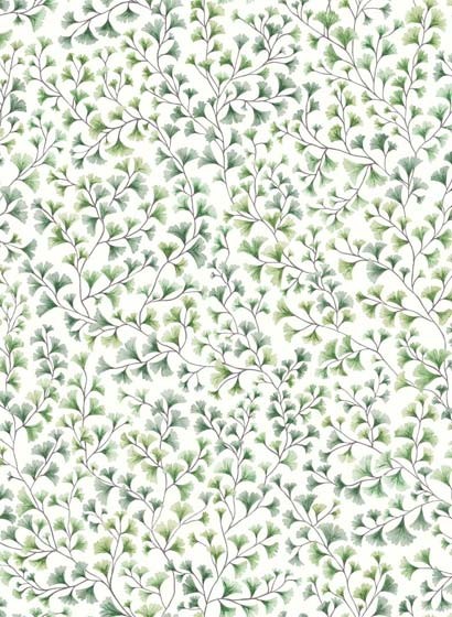Cole & Son Wallpaper Maidenhair Olive