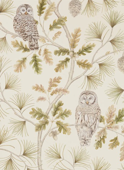Sanderson Wallpaper Owlswick Briarwood