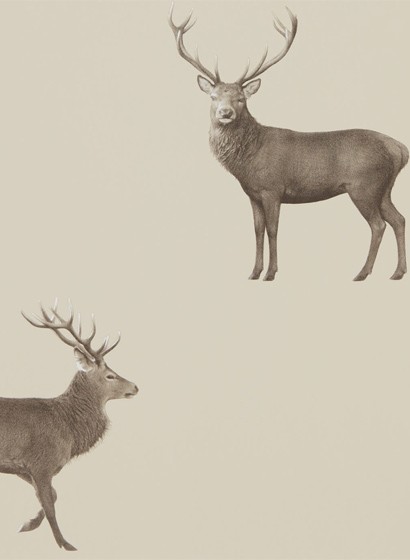 Sanderson Wallpaper Evesham Deer Birch