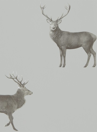Hirsch Tapete Evesham Deer von Sanderson - Silver Grey