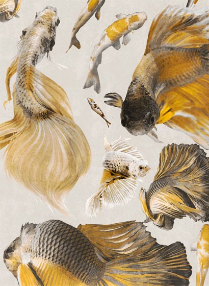 Mindthegap Papier peint Goldfish - Ivory