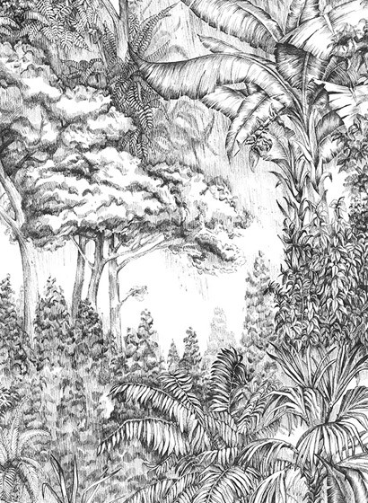 Dschungeltapete Secret Garden von Rebel Walls - Black/ White