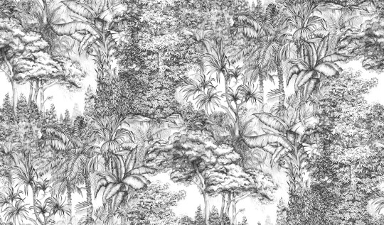 Dschungeltapete Secret Garden von Rebel Walls - Black/ White