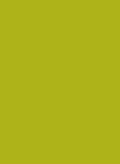 Les Couleurs Le Corbusier poLyChro Farbe 4320F vert olive vif 0,1l