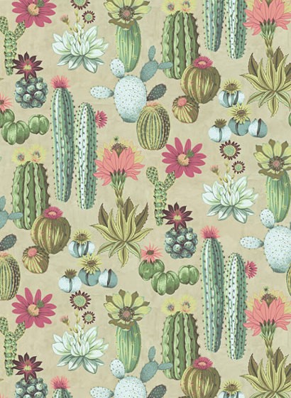 Kakteen Wandbild Cacti von Eijffinger - 384605