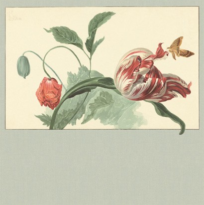 Eijffinger Papier peint Tulip and Poppy - Mehrfarbig Grün