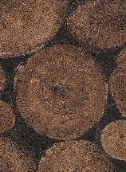 Andrew Martin Papier peint Lumberjack - Timber