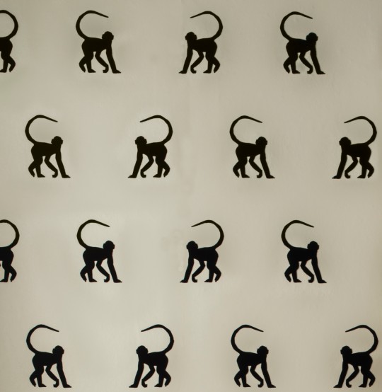 Affen Tapete Cheeky Monkey von Andrew Martin
